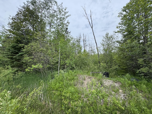 9ACRES Brevort Lake Rd, Moran, MI 49760