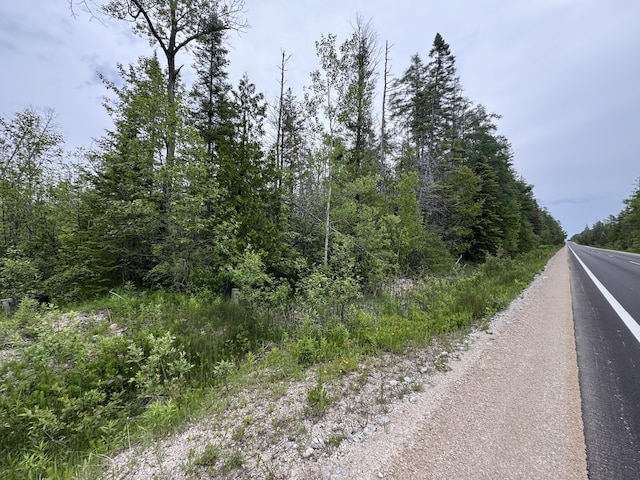 9ACRES Brevort Lake Rd, Moran, MI 49760