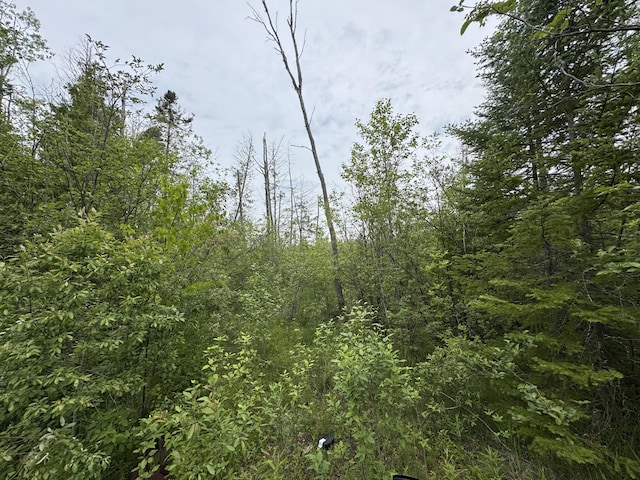 9ACRES Brevort Lake Rd, Moran, MI 49760
