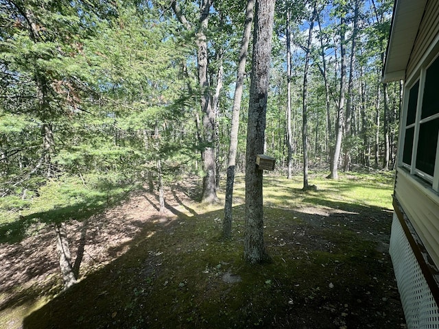 18751 Ess Lake Dr, Hillman, MI 49746 - photo 26