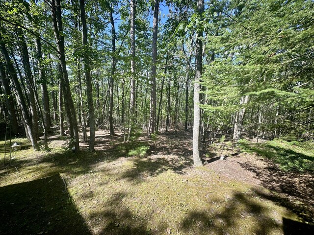 18751 Ess Lake Dr, Hillman, MI 49746 - photo 27