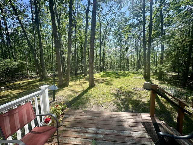 18751 Ess Lake Dr, Hillman, MI 49746 - photo 24