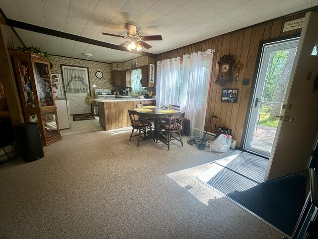 18751 Ess Lake Dr, Hillman, MI 49746 - photo 9