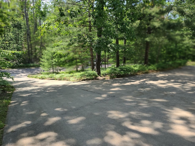 5825 Arawak Pass, Gaylord, MI 49735 - view of street