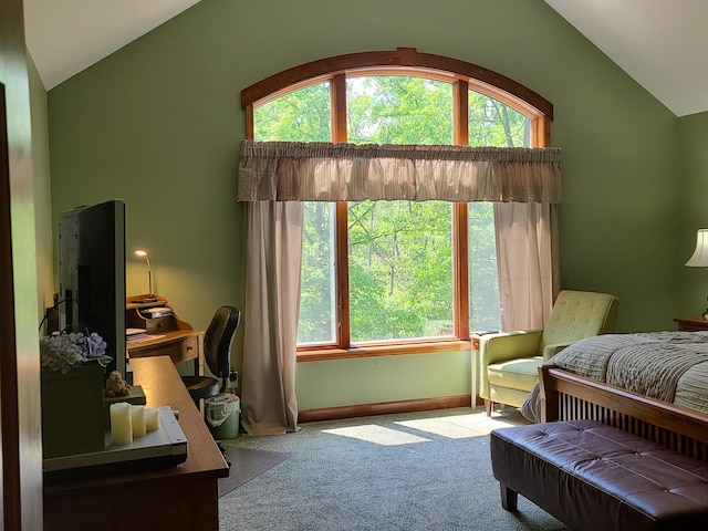 5825 Arawak Pass, Gaylord, MI 49735 - bedroom featuring vaulted ceiling and carpet