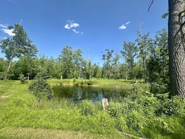 18440 Hardwood Trl, Hillman, MI 49746 - view of woods featuring a water view