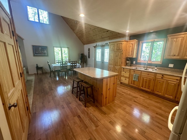18440 Hardwood Trl, Hillman, MI 49746 - kitchen with high vaulted ceiling, light countertops, healthy amount of natural light, a kitchen island, and light wood finished floors