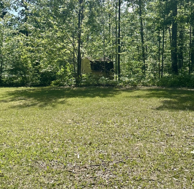 18440 Hardwood Trl, Hillman, MI 49746 - view of green lawn