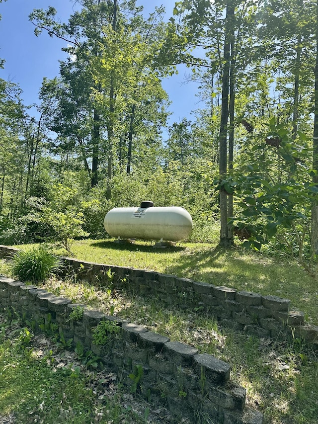 18440 Hardwood Trl, Hillman, MI 49746 - view of yard