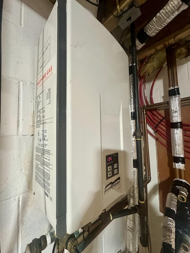 18440 Hardwood Trl, Hillman, MI 49746 - utility room with tankless water heater