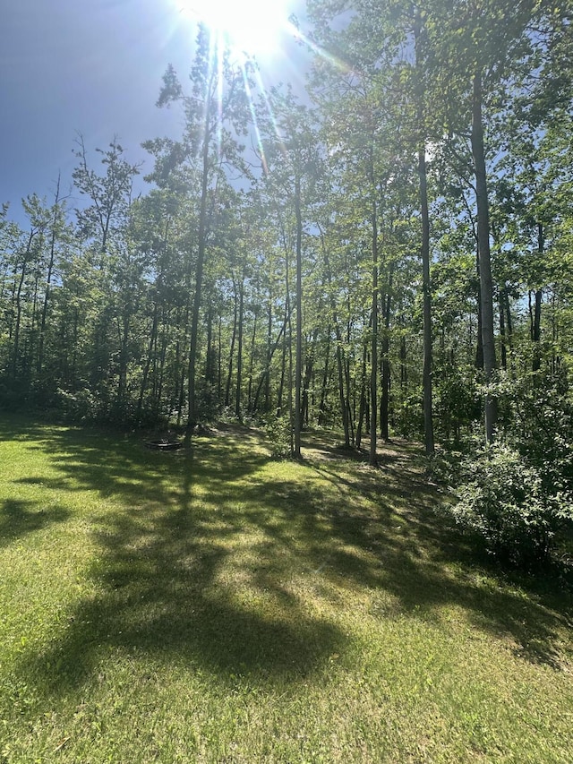 18440 Hardwood Trl, Hillman, MI 49746 - view of grassy yard