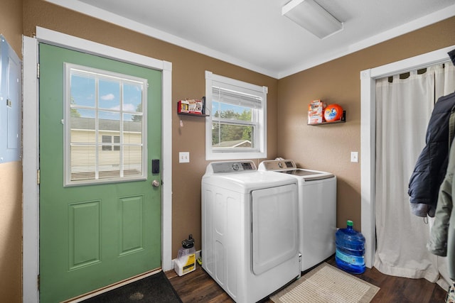 8934 Roberts Rd, Mancelona, MI 49659 - laundry area featuring washing machine and dryer and dark wood-style flooring