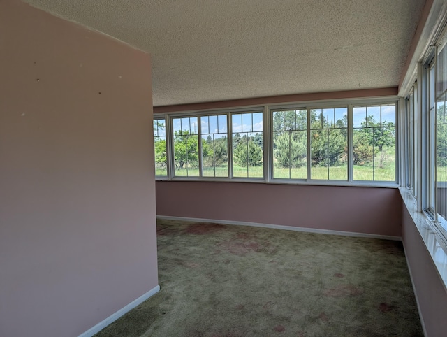 3090 S 37th Rd, Cadillac, MI 49601 - unfurnished sunroom with carpet flooring and a textured ceiling