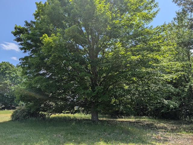 3090 S 37th Rd, Cadillac, MI 49601 - view of undeveloped land