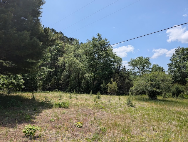 3090 S 37th Rd, Cadillac, MI 49601 - view of tree filled area