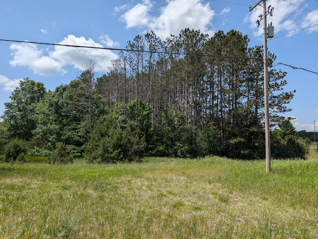 3090 S 37th Rd, Cadillac, MI 49601 - view of local wilderness