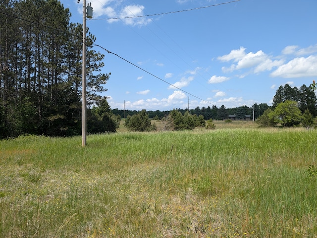 3090 S 37th Rd, Cadillac, MI 49601 - view of undeveloped land
