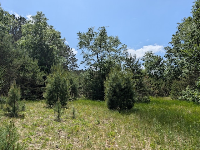 3090 S 37th Rd, Cadillac, MI 49601 - view of tree filled area