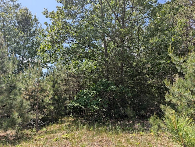 3090 S 37th Rd, Cadillac, MI 49601 - view of woods