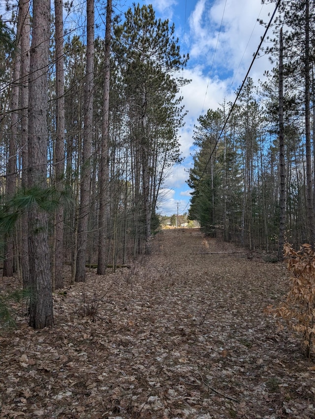 3090 S 37th Rd, Cadillac, MI 49601 - view of undeveloped land