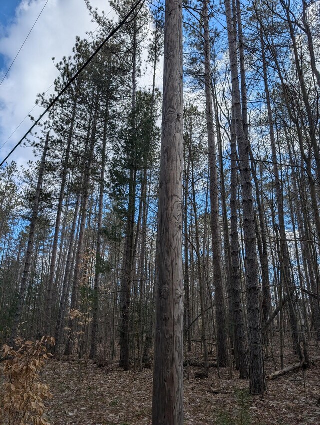 3090 S 37th Rd, Cadillac, MI 49601 - view of woods
