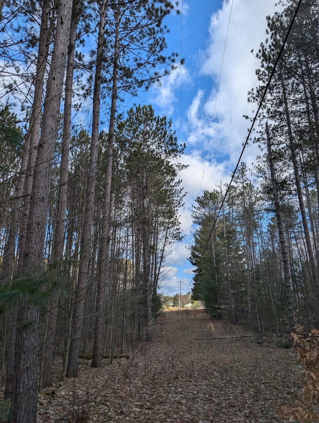 3090 S 37th Rd, Cadillac, MI 49601 - view of local wilderness