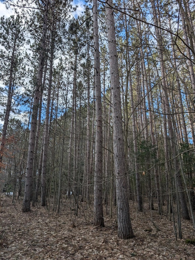 3090 S 37th Rd, Cadillac, MI 49601 - view of wooded area