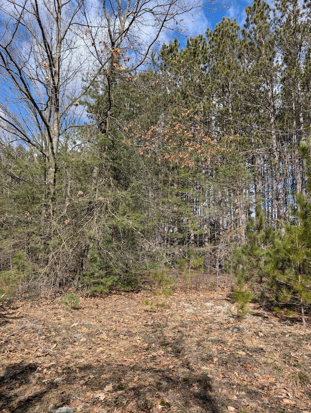 3090 S 37th Rd, Cadillac, MI 49601 - view of tree filled area