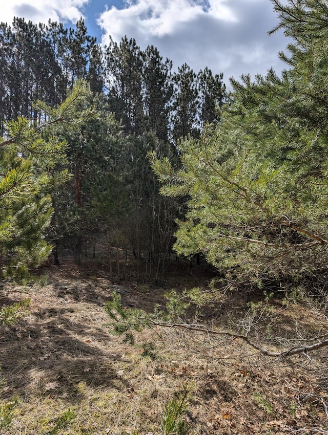 3090 S 37th Rd, Cadillac, MI 49601 - view of woods