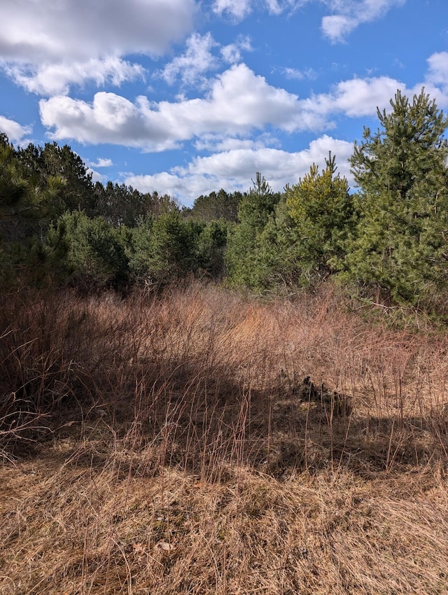 3090 S 37th Rd, Cadillac, MI 49601 - view of nature