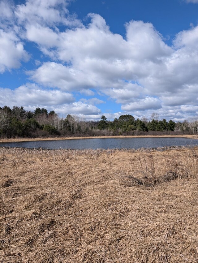 3090 S 37th Rd, Cadillac, MI 49601 - water view