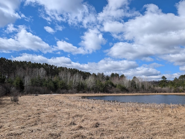 3090 S 37th Rd, Cadillac, MI 49601 - water view with a forest