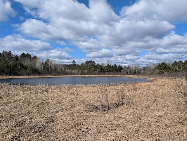 3090 S 37th Rd, Cadillac, MI 49601 - water view