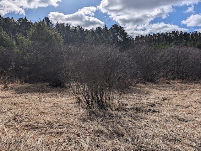 3090 S 37th Rd, Cadillac, MI 49601 - view of woods