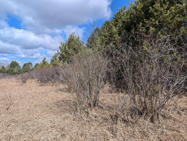 3090 S 37th Rd, Cadillac, MI 49601 - view of nature
