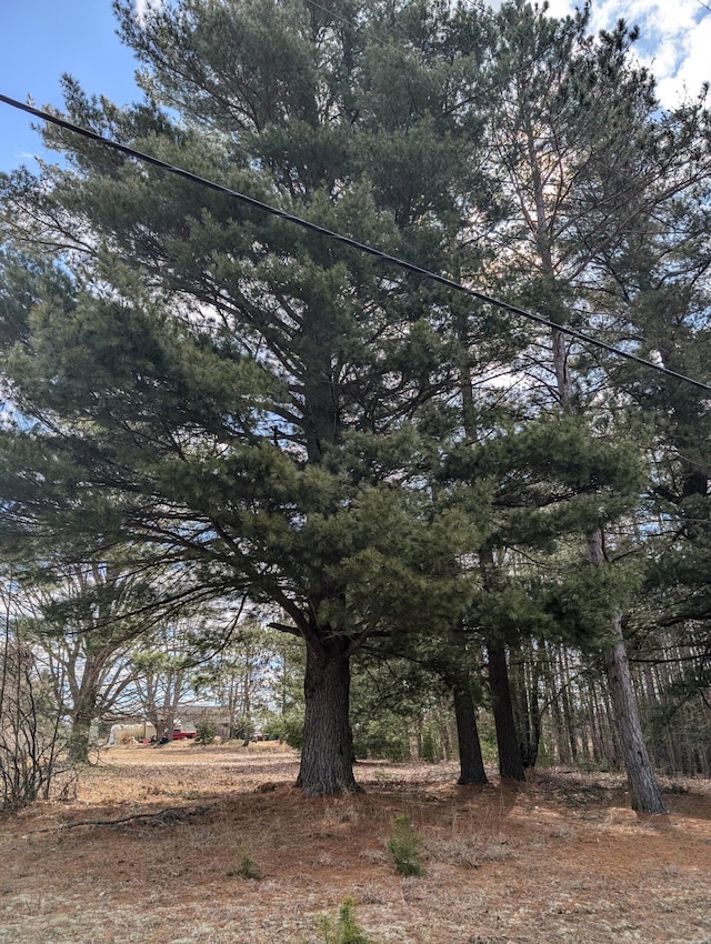 3090 S 37th Rd, Cadillac, MI 49601 - view of nature
