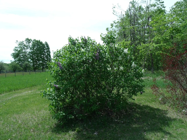 4355 W Burrows Rd, Wolverine, MI 49799 - photo 35