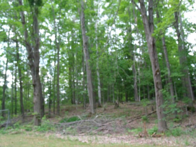 4355 W Burrows Rd, Wolverine, MI 49799 - photo 38