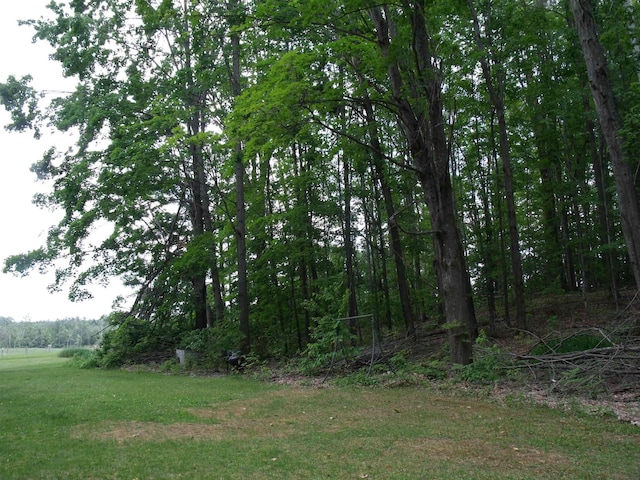 4355 W Burrows Rd, Wolverine, MI 49799 - photo 39
