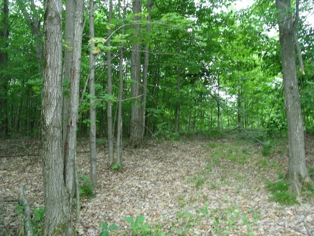 4355 W Burrows Rd, Wolverine, MI 49799 - photo 40
