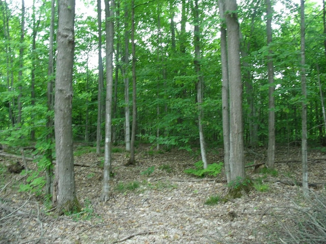 4355 W Burrows Rd, Wolverine, MI 49799 - photo 41