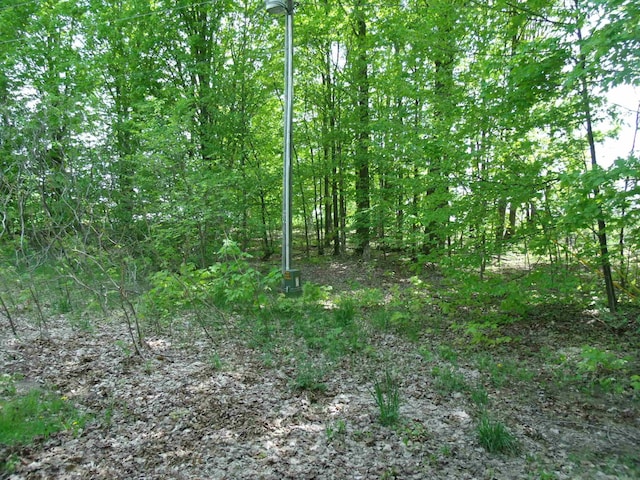 4355 W Burrows Rd, Wolverine, MI 49799 - photo 43