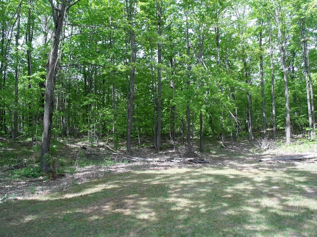 4355 W Burrows Rd, Wolverine, MI 49799 - photo 44