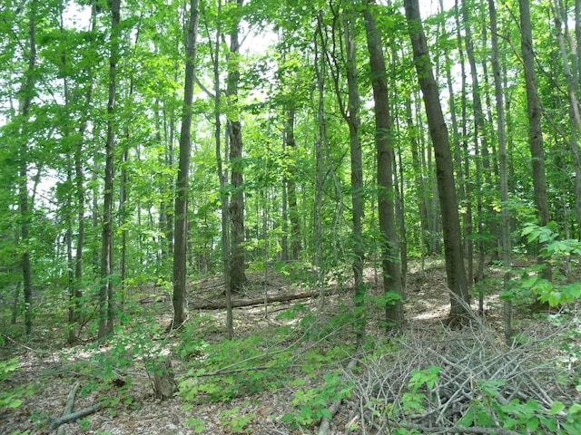 4355 W Burrows Rd, Wolverine, MI 49799 - photo 45