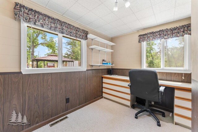 8305 Furgason Trl, Atlanta, MI 49709 - photo 18