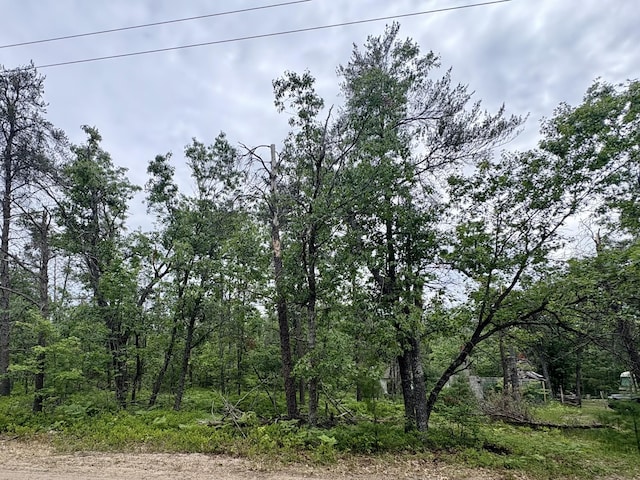 21391 Suitt Rd, Hillman, MI 49746