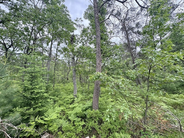 21391 Suitt Rd, Hillman, MI 49746