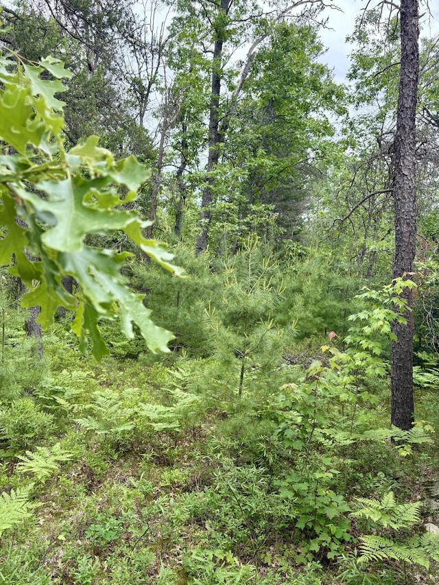 21391 Suitt Rd, Hillman, MI 49746