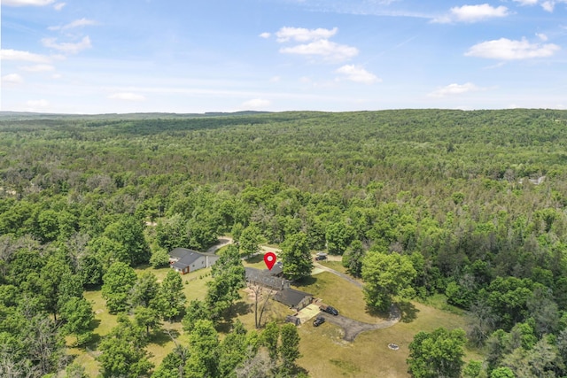 2460 Irish Way, Roscommon, MI 48653
