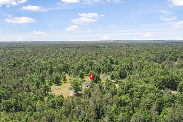 2460 Irish Way, Roscommon, MI 48653